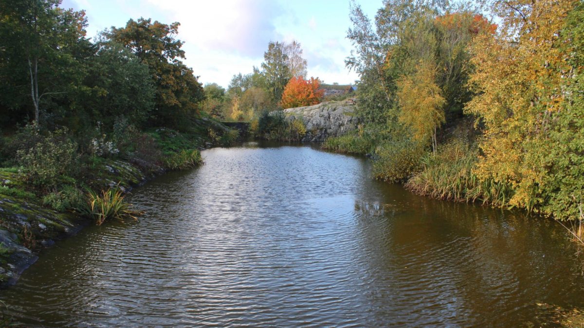 Building Justice Project Impact Justice