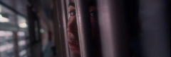 A man looks through the bars of a cell